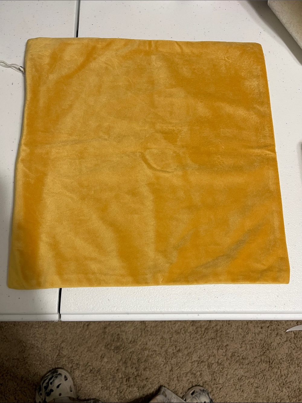 Plush Velvet Accent Pillow Cover in Mustard Yellow